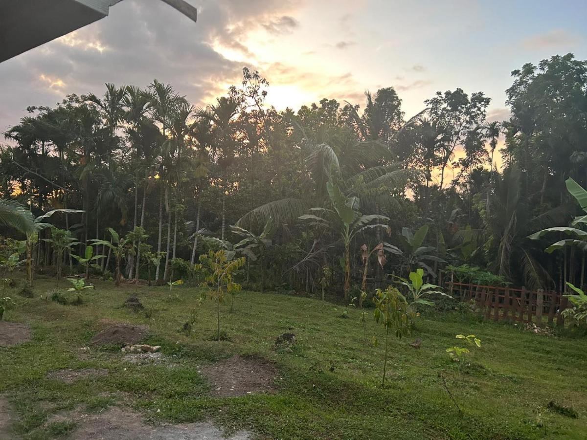 Senaru Garden Homestay Exterior photo